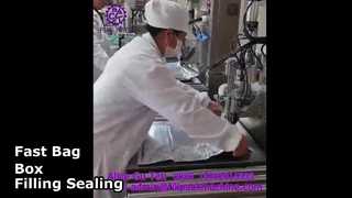 2108 L14 सेमी-ऑटोमैटिक सिंगल-हेड बैग-इन-बॉक्स फिलिंग और सीलिंग मशीन