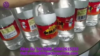 2267 एम31 सरल हॉट-मेल्ट लेबलिंग मशीन